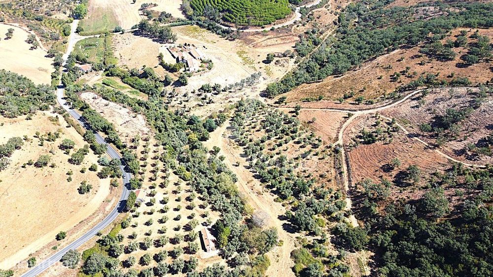 Herdade com 625,77ha em Odemira
