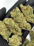 Jack Herer - Mega klasy Marihuana zioło susz CBD nie THC THCP 5 gram