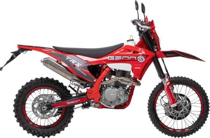 GEON TRX 300 YGH PRO, 2025  р. в.