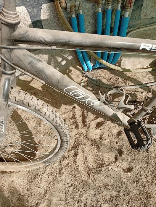 Motosserra e bicicleta