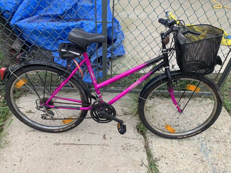 Rower Konsul miejski