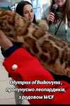 Пропонуємо з офіційного розплідника Olympus of Bukovyna, бенгала