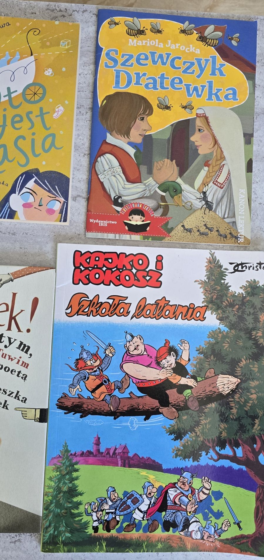 Lektury szkolne 2-4