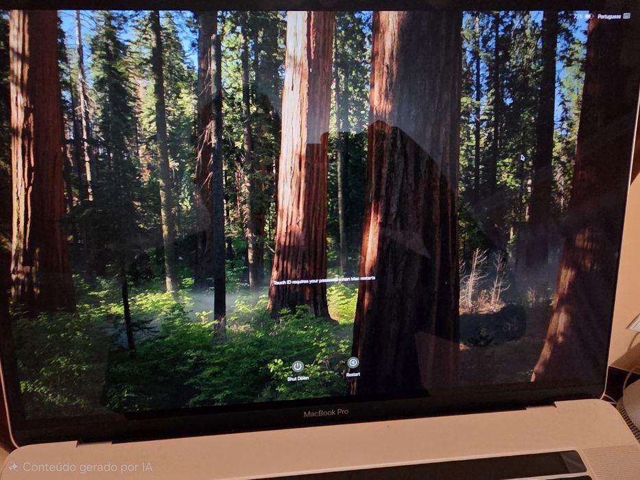 Macbook pro 2019