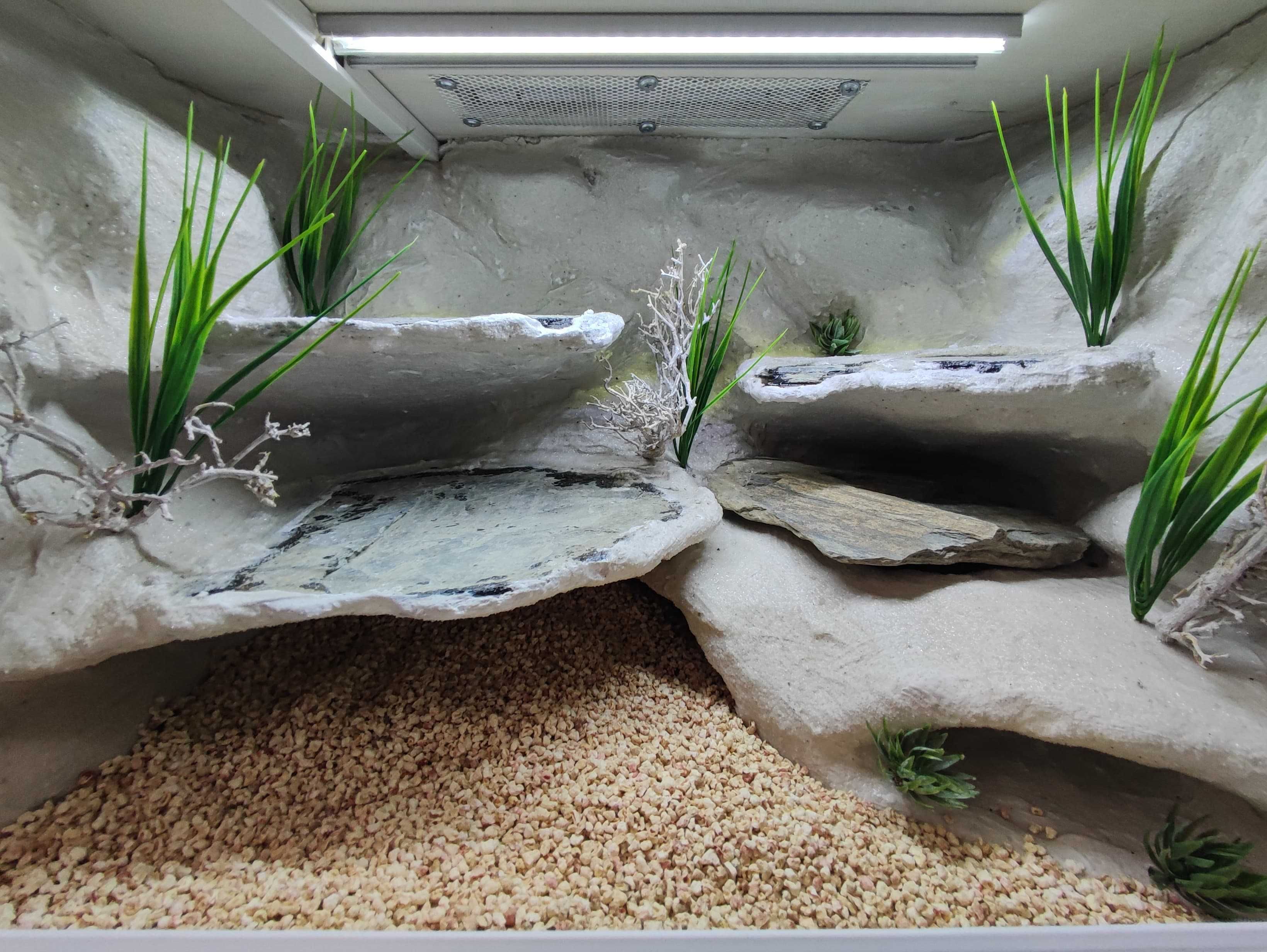 Terrarium pustynne nr752 60/40/40 dla gekona lamparciego DOSTĘPNE
