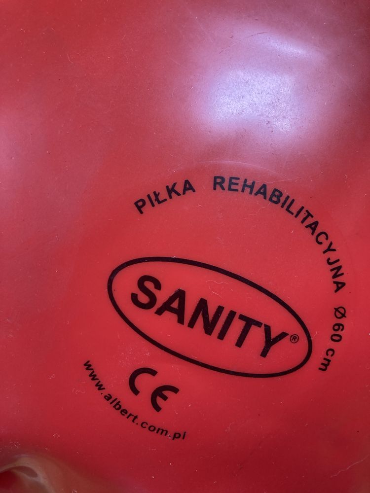 Piłka rehabilitacyjna Sanity 60