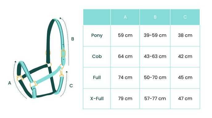 Kantar York Harmony fioletowy Full