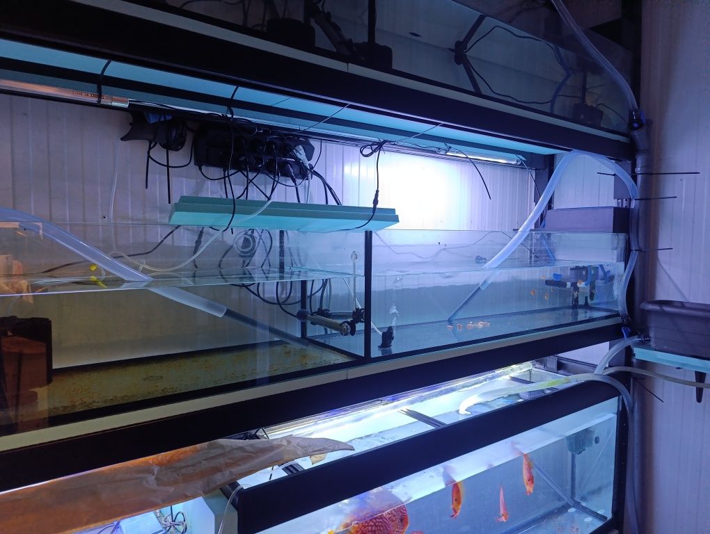 Aquários e material de aquariofilia