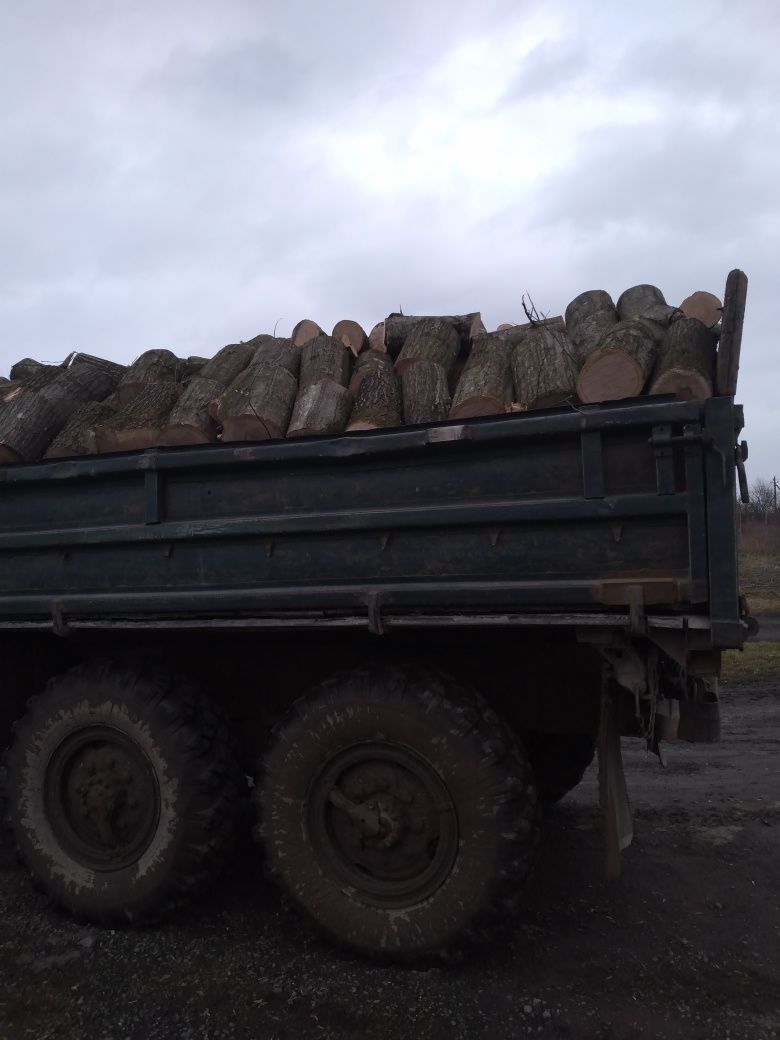 Дрова паливні твердої породи