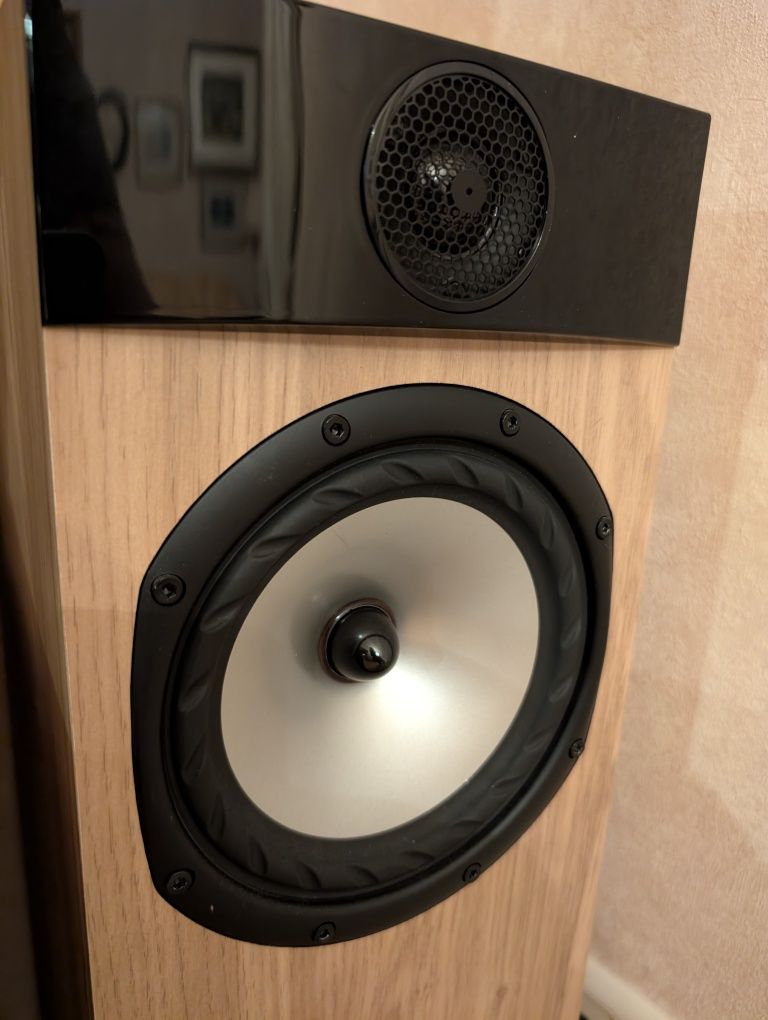 Акустика напольная Fyne Audio (Tannoy) F302