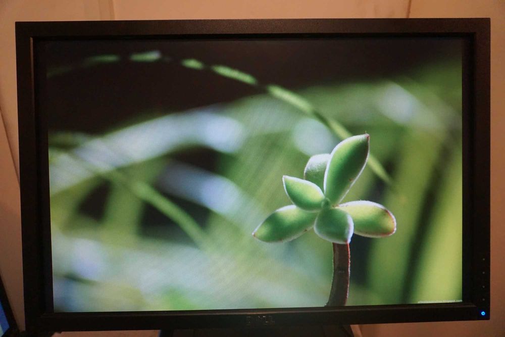 Monitor 22 DELL E2210f / Łódź/ Możliwa większa ilość
