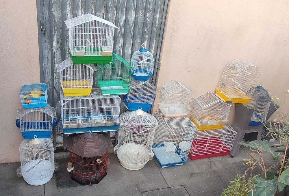 Tenho gaiolas par troca por aves agaporne ring neck caturras ou outras