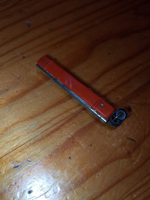 Mały scyzoryk na grzybobranie