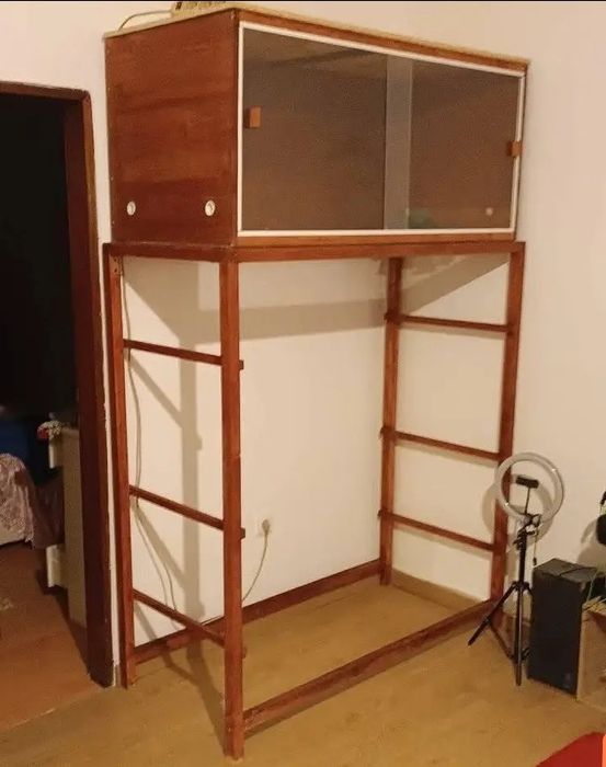 Terrário feito de raiz