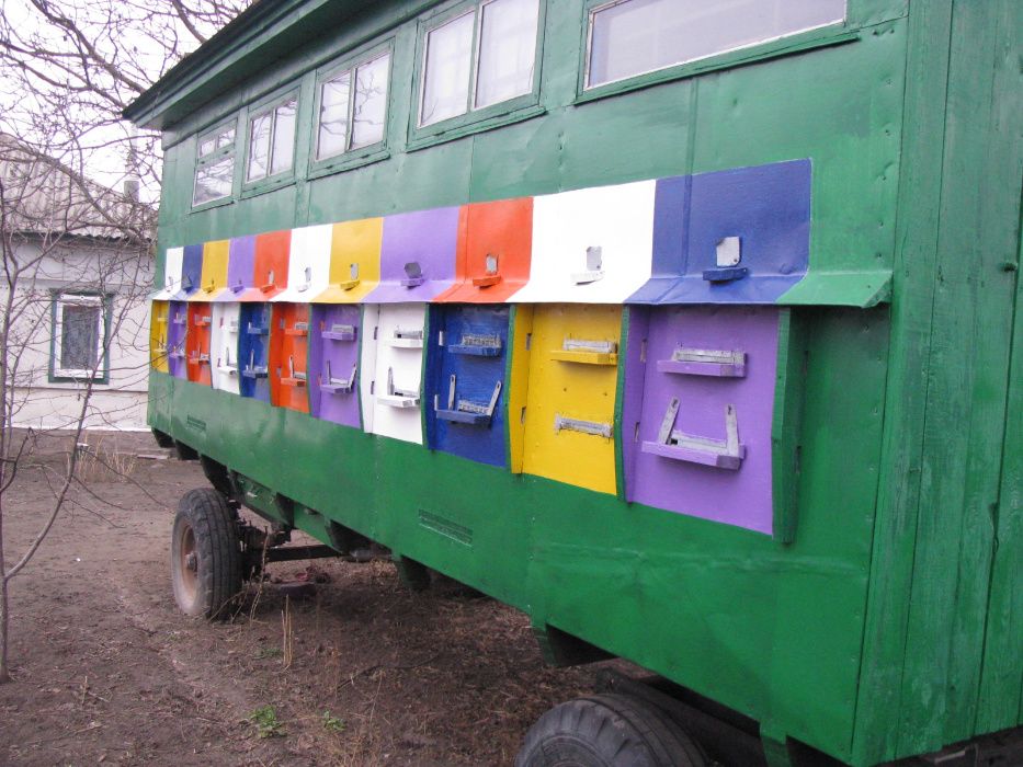 Бджолопавільйон, пасіка на колесах.