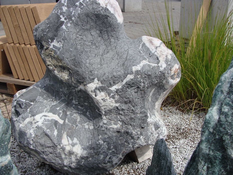 Kamień dekoracyjny, monolity i głazy ogrodowe. Leopard