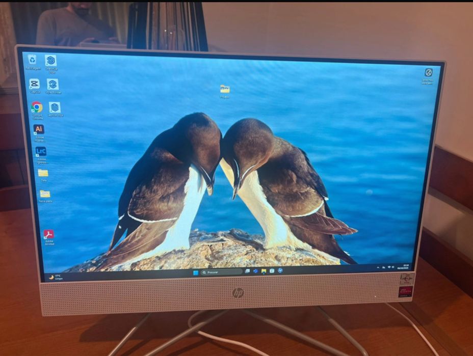 HP All-in-One pc secretaria