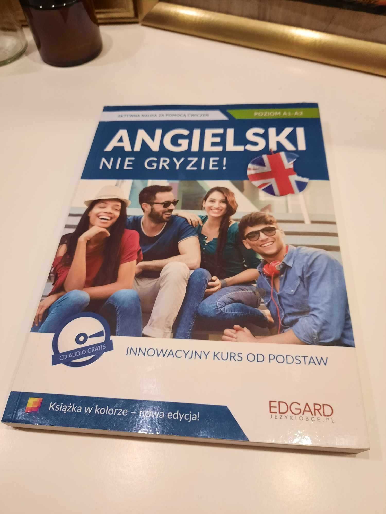 książka Angielski nie gryzie! do nauki języka angielskiego kurs