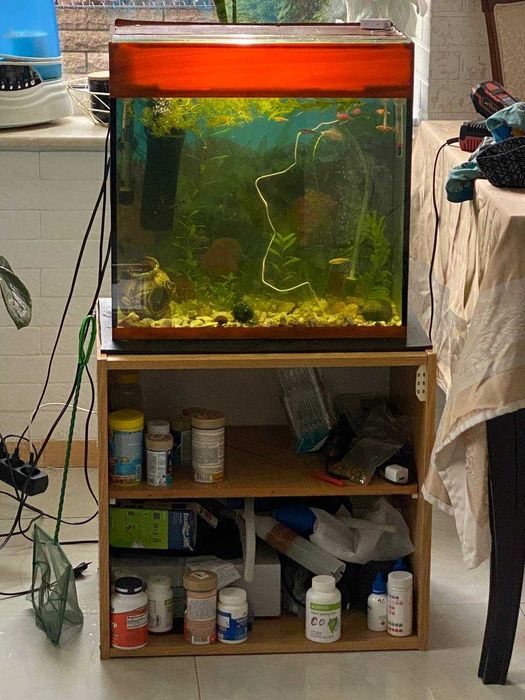Продам .Акваріум. з тумбою.
