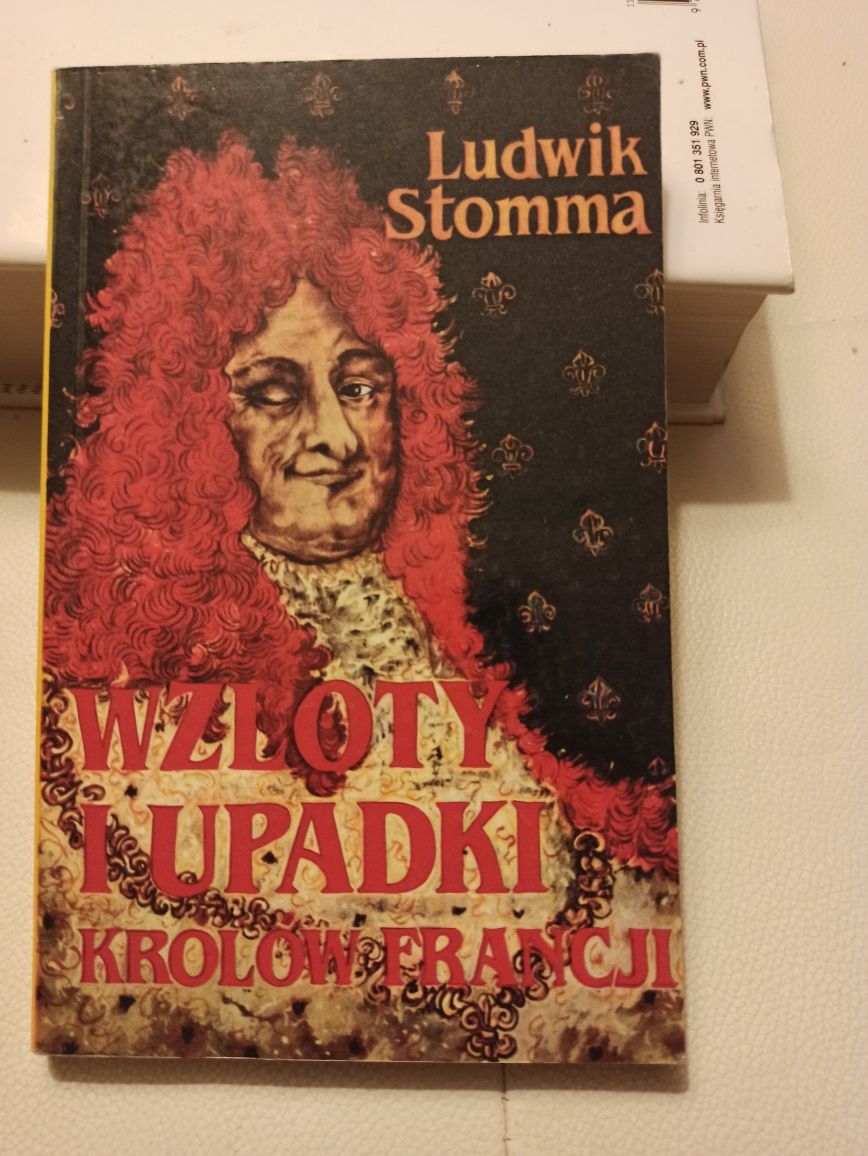 Stomma wzloty i upadki królów Francji