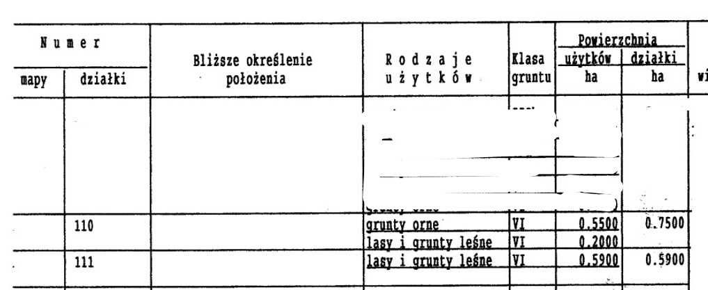 Las w Rejonie Miasta Różan powiat Makowski