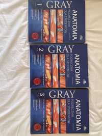 Podręczniki anatomia Gray tom 1-3