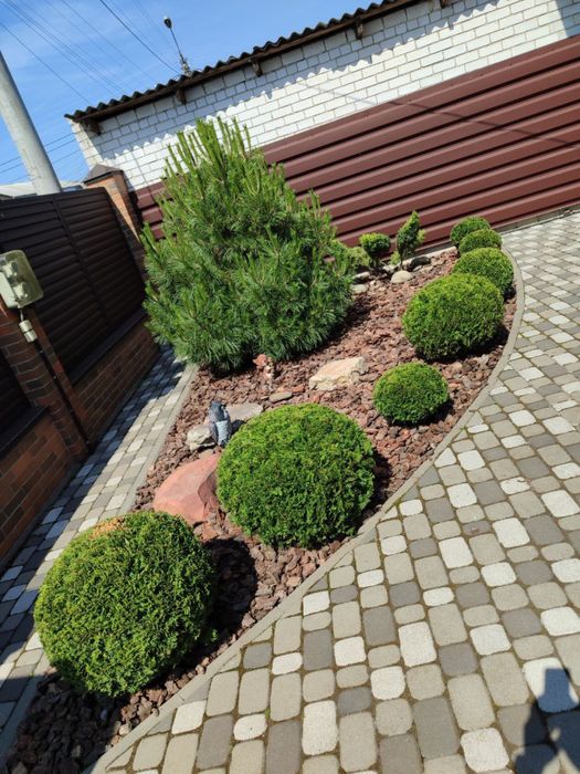 Професійний догляд за садом та ландшафтні роботи під ключ.