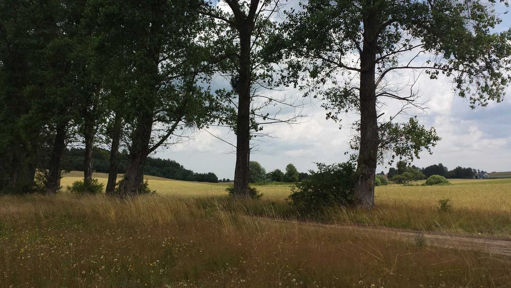 Działka rolna, podzielona na 13, możliwość wystąpienia WZ, Wiele