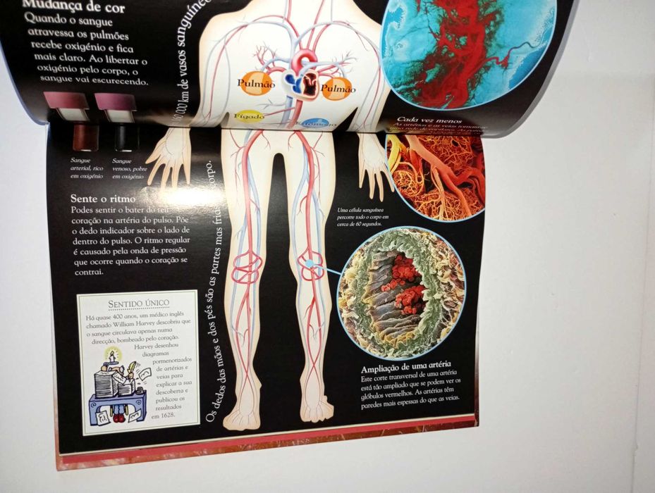 Corpo Humano - Mundo Fantástico