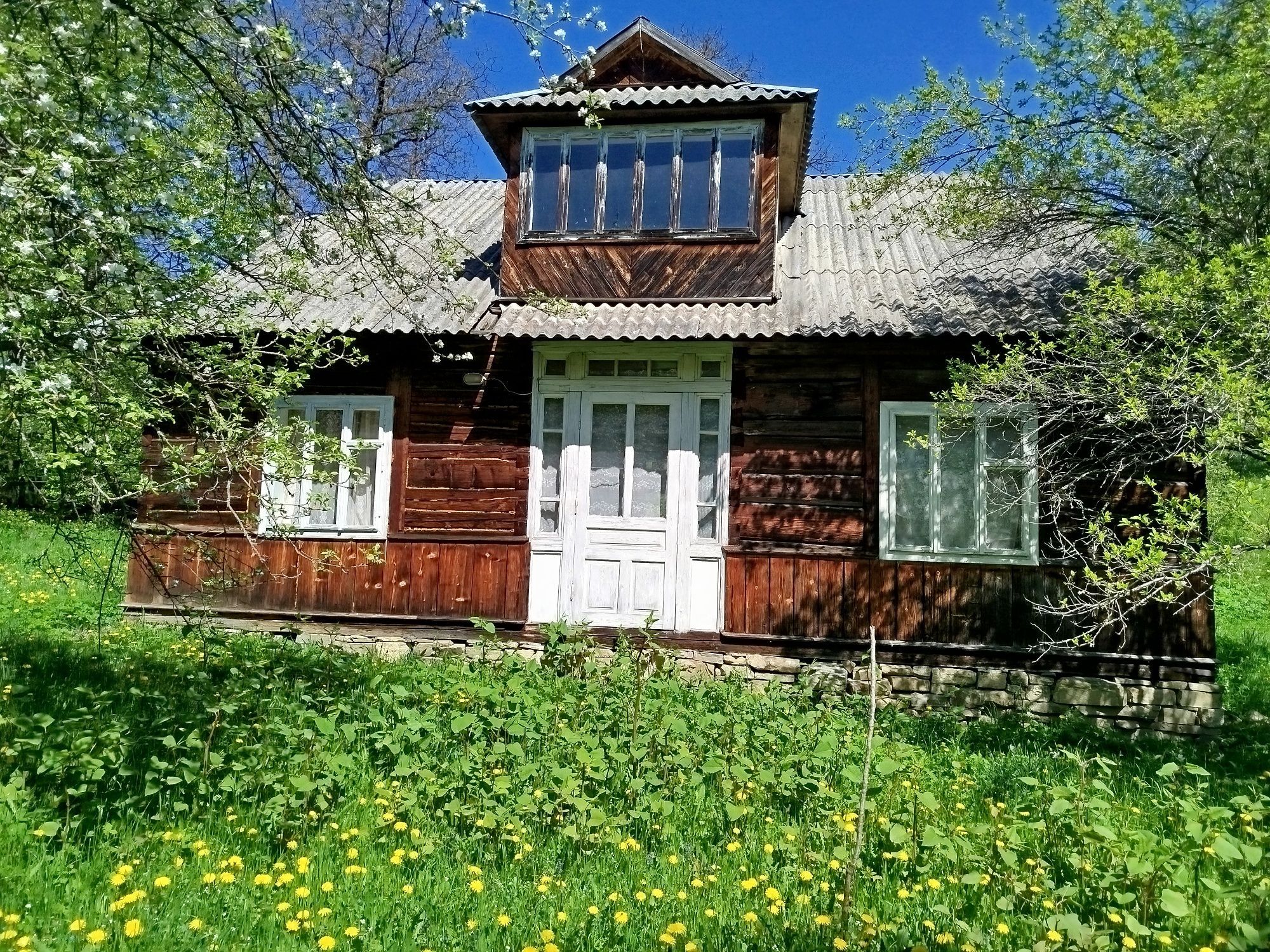 Терміново! Будинок та земля в Карпатах, річка, гори, краєвиди