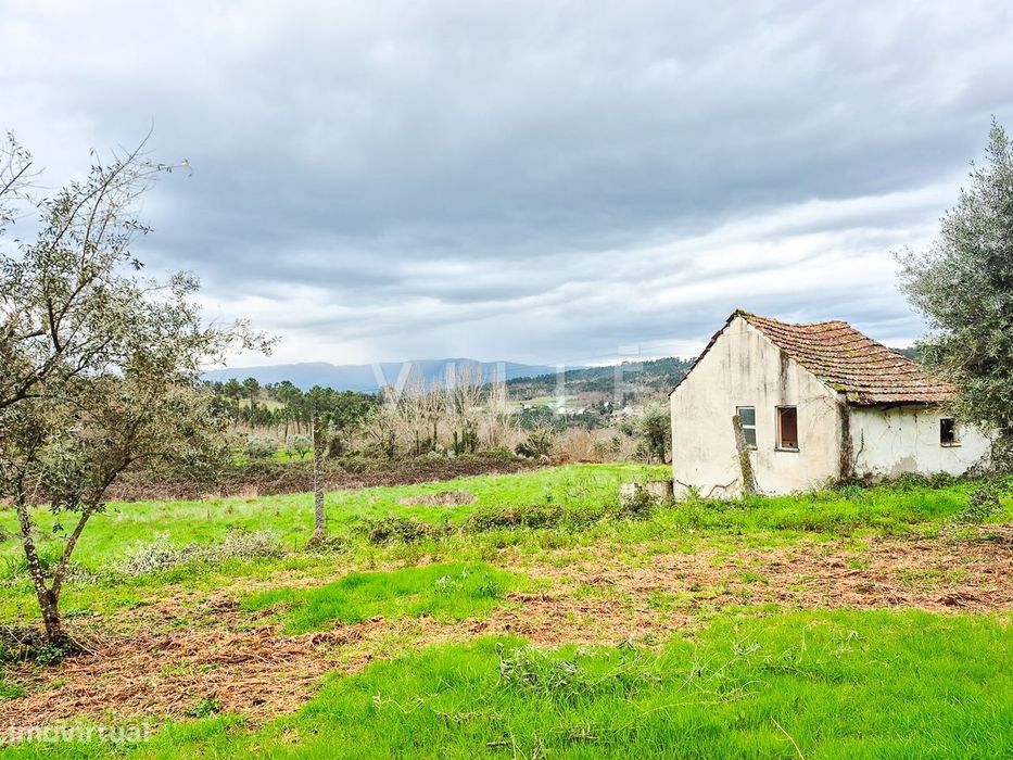 Prédio misto em Vouzela, com grande terreno
