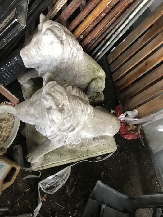 Leao cimento estatua