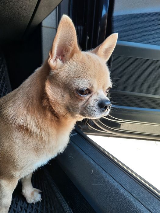 Молодий хлопець шукає дівчинку