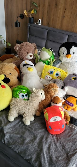 Duże maskotki do odświeżenia