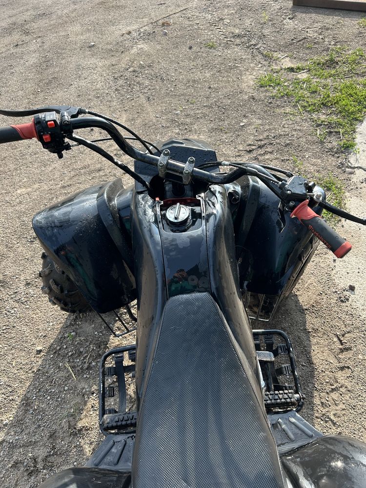 Quad bashan  250