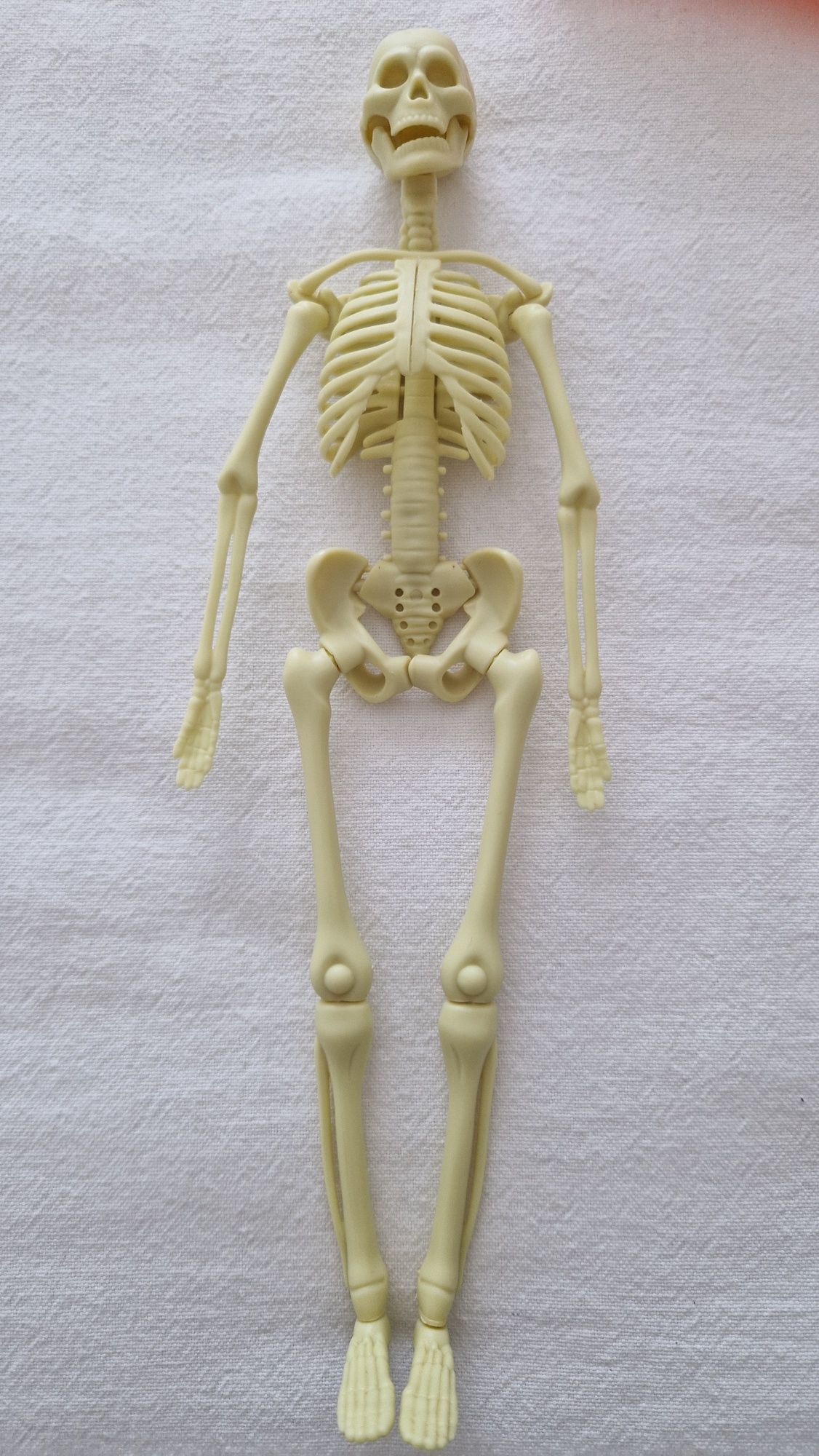Bonecos corpo humano