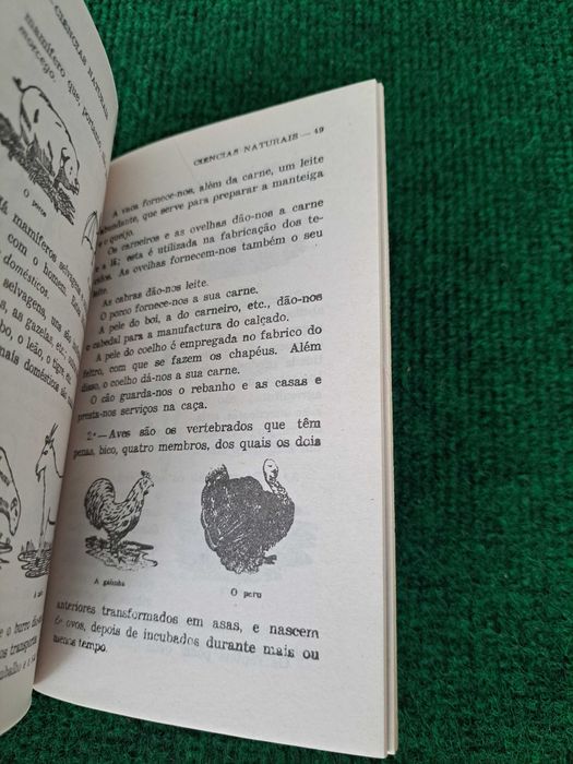 Série Escolar Educação - 4 Volumes