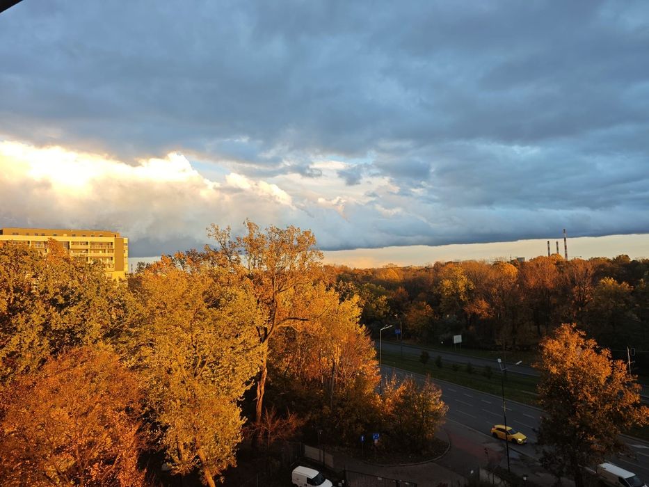 Pokój osiedle Tobaco Park Nowe pierwszy najemca