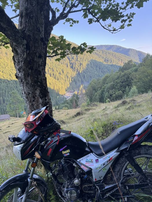 Мустанг мт 200-7