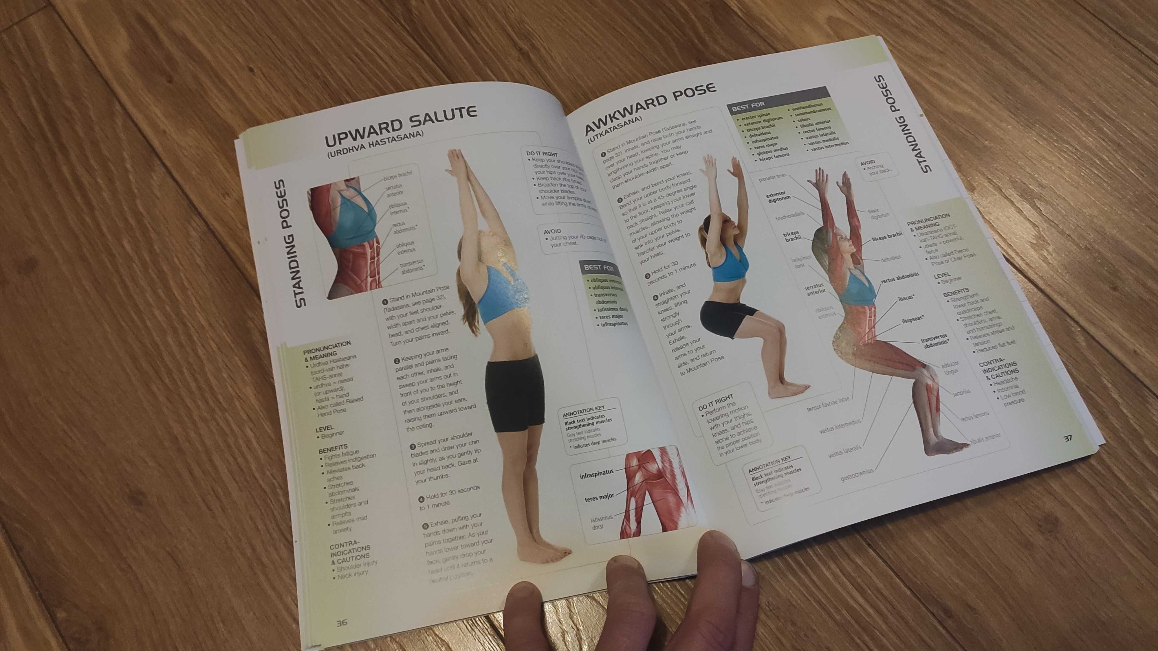 Książka Anatomy of Yoga DR. Abby Ellsworth