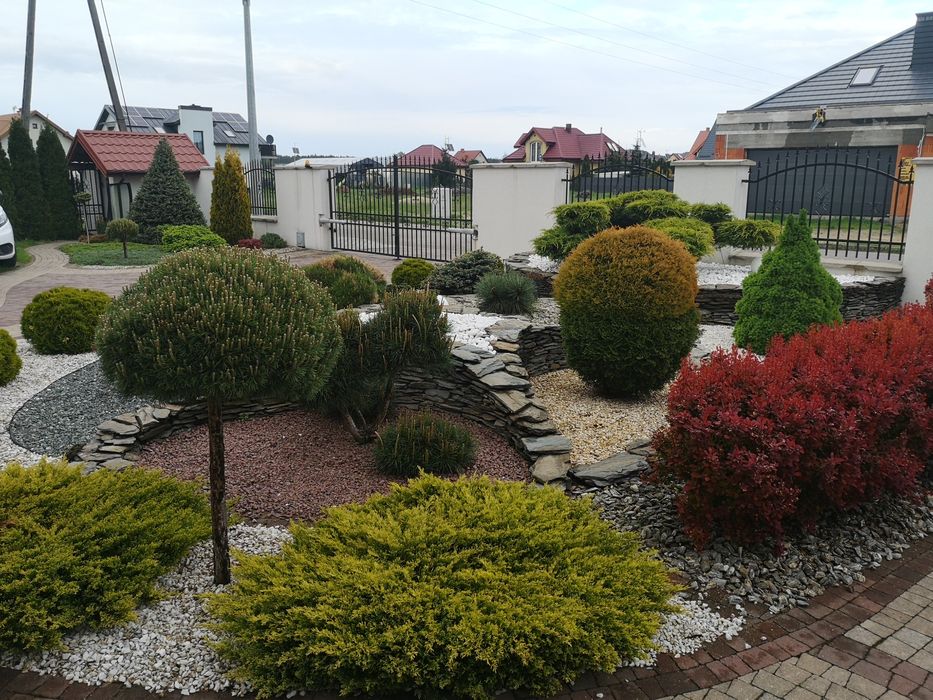 Kora kamienna kamienie ozdobne ogrodowe białe