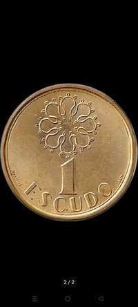 Moeda de 1 escudo (Anos: 1981 a 1999)
