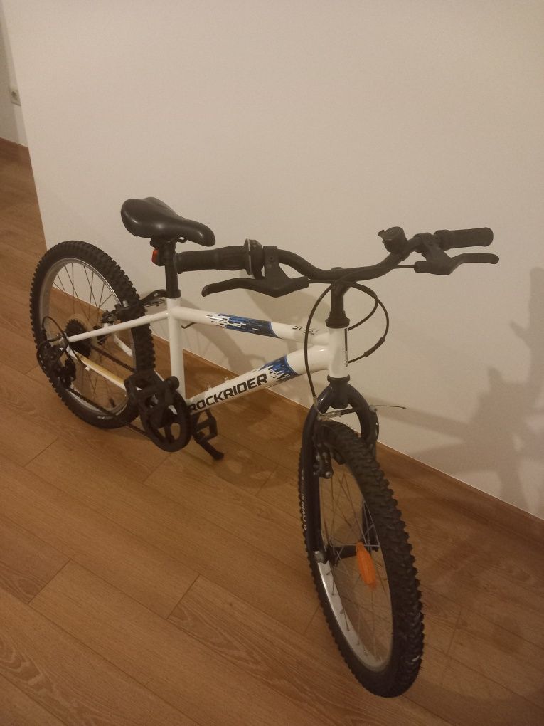 Bicicleta para adulto o grianza