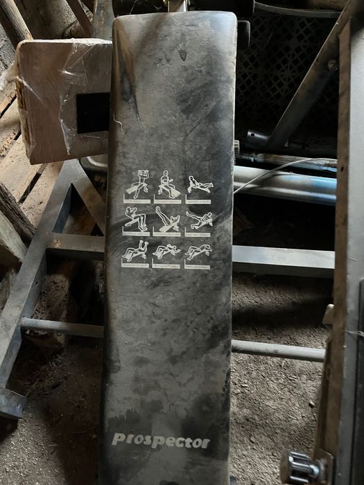 Halteres + Banco de musculação Prospector