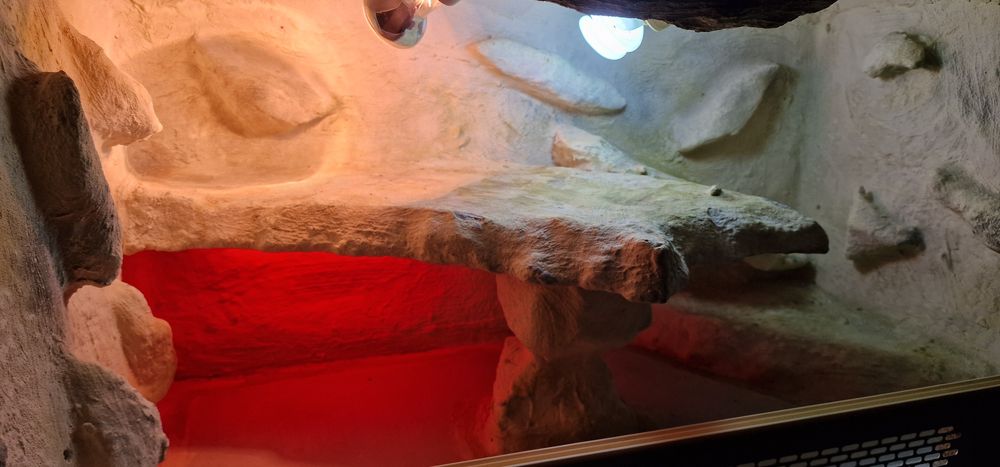 Terrarium 100×50×50 cm z oświetleniem (UV, grzewcze, czerwone)