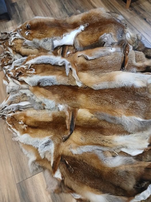 Skóry  z lisa garbowane