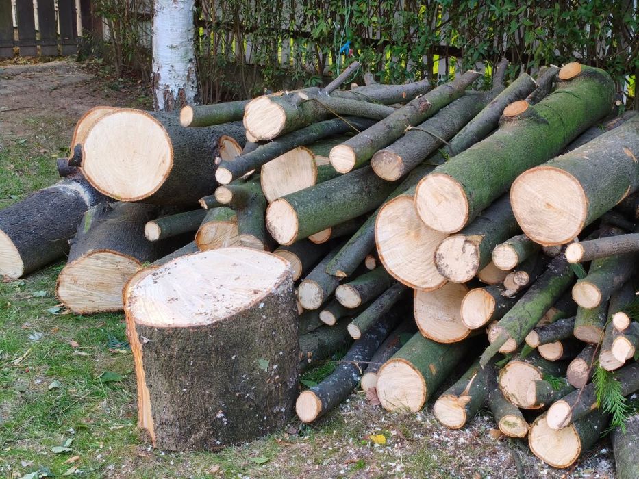 Sprzedam drewno lipowe