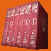 Grande Enciclopédia Médica Verbo (6 volumes)