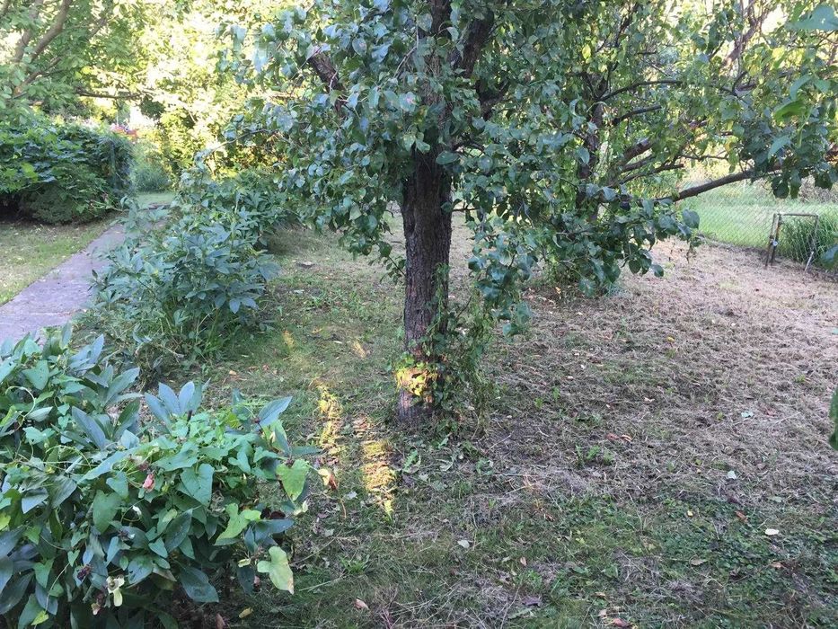 Działka ROD Komorów