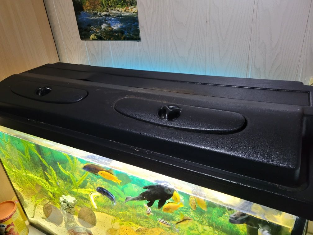 Akwarium 240L szczelne z pokrywą